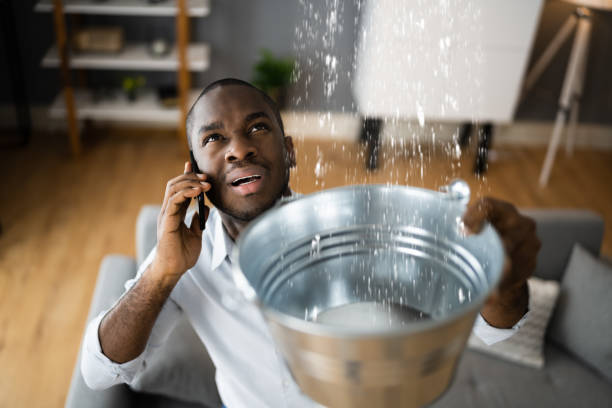 Best Ceiling water damage repair  in Herculaneum, MO