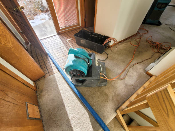 Best Local water damage restoration  in Herculaneum, MO