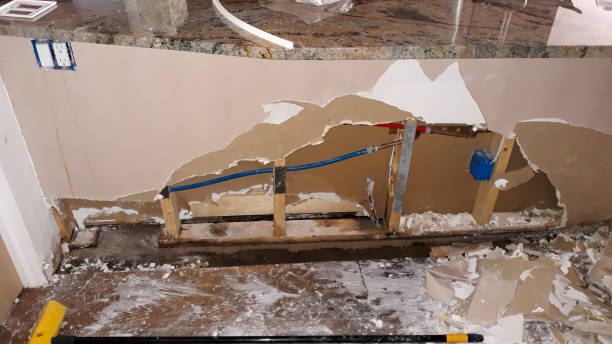 Best Sewage cleanup and water damage restoration  in Herculaneum, MO