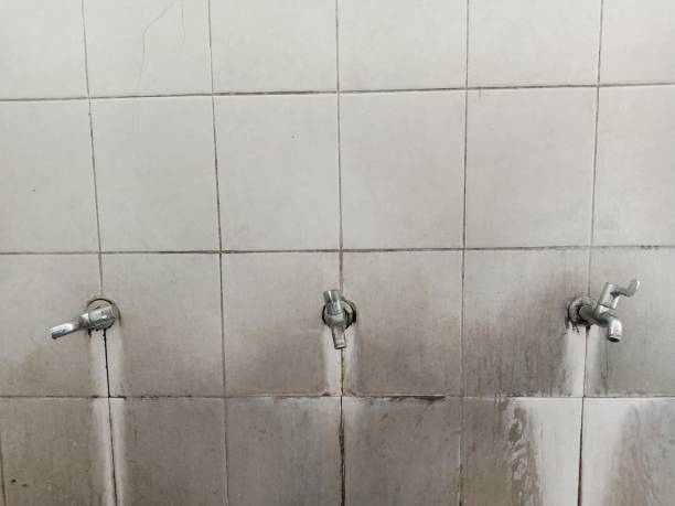 Best Water damage restoration company  in Herculaneum, MO