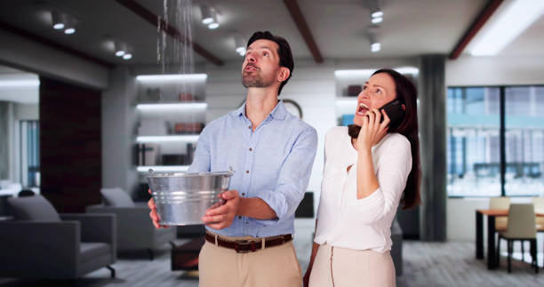 Best Mold removal after water damage  in Herculaneum, MO